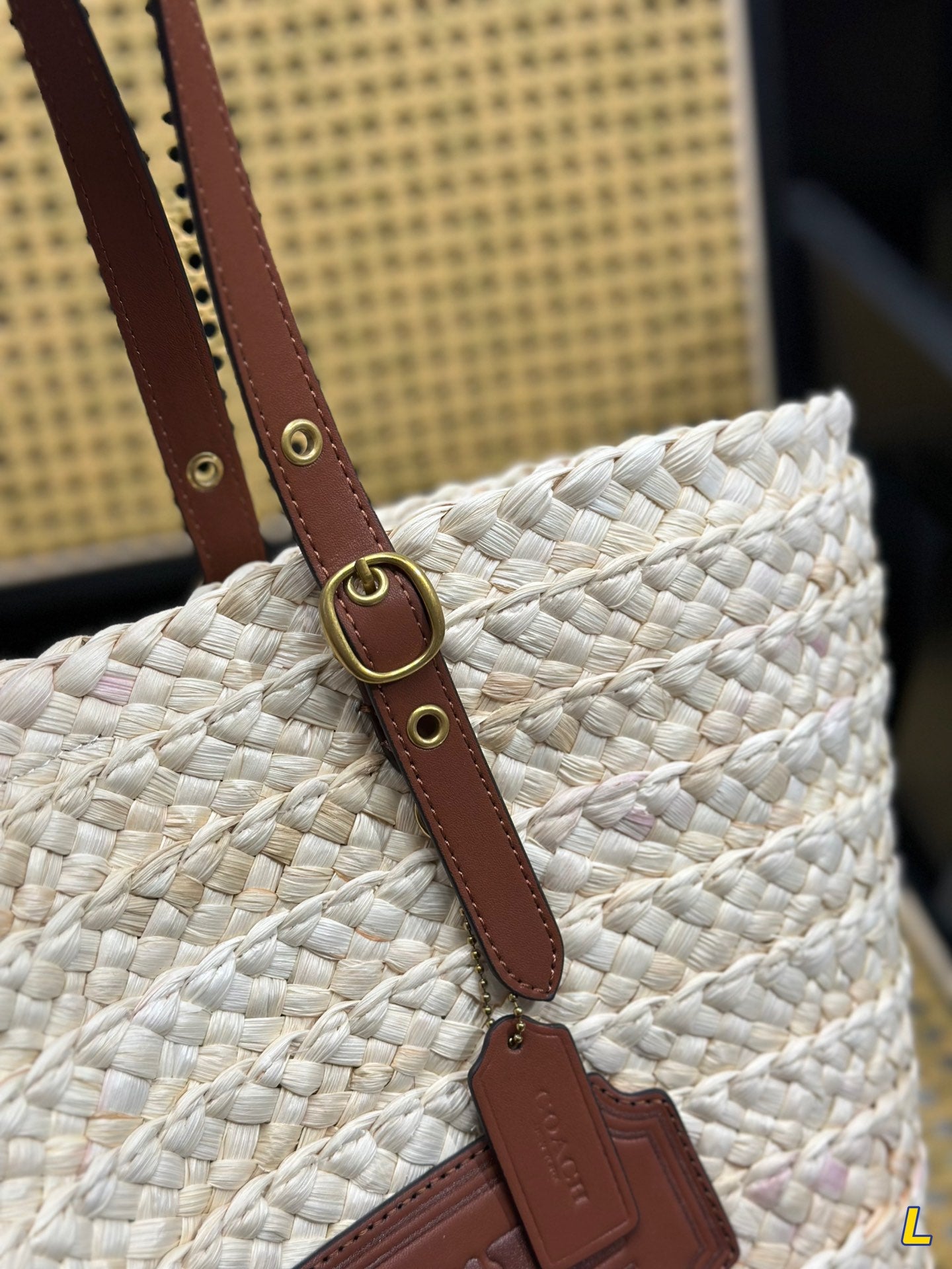 Co-BAG254
