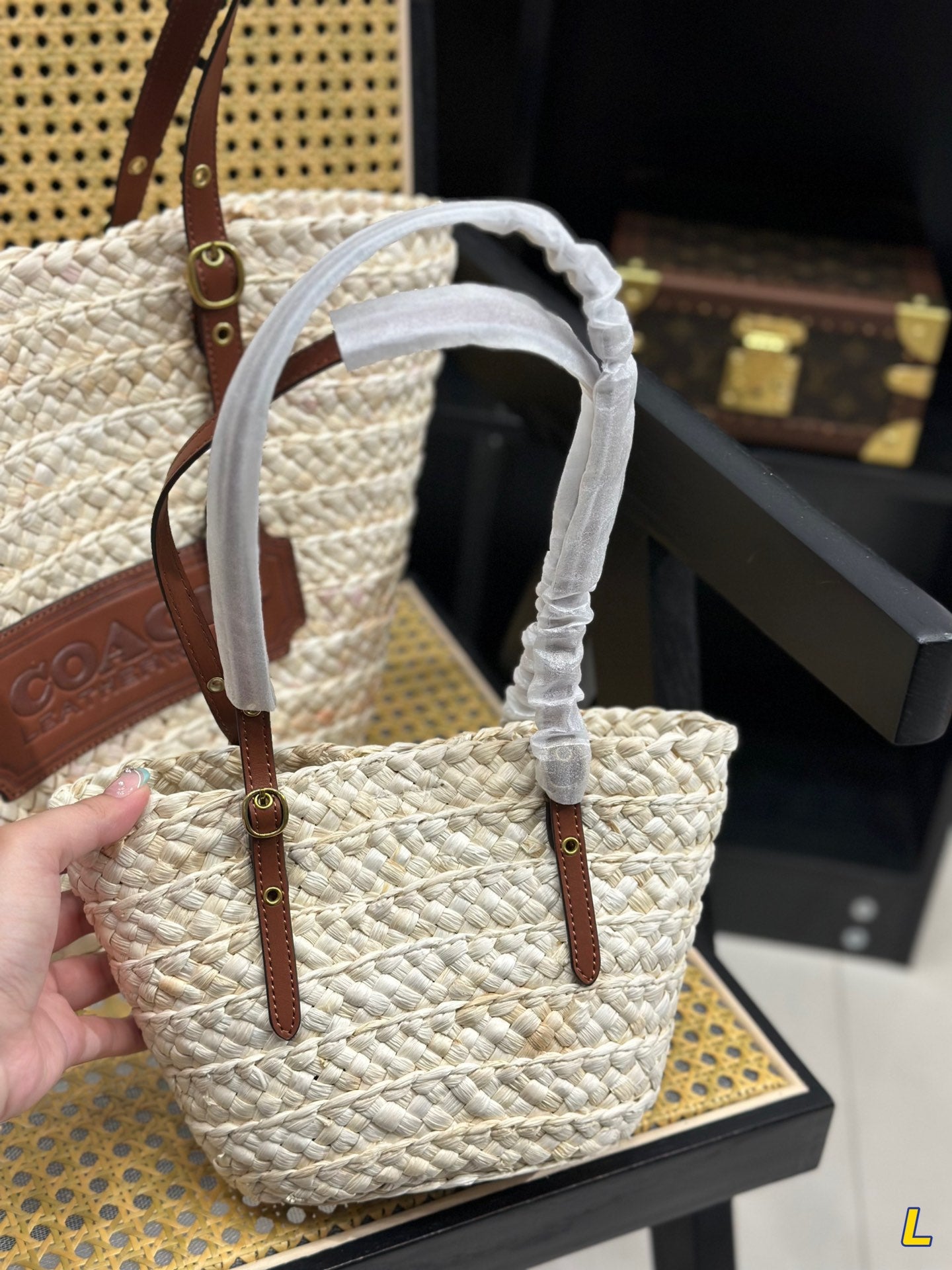 Co-BAG254