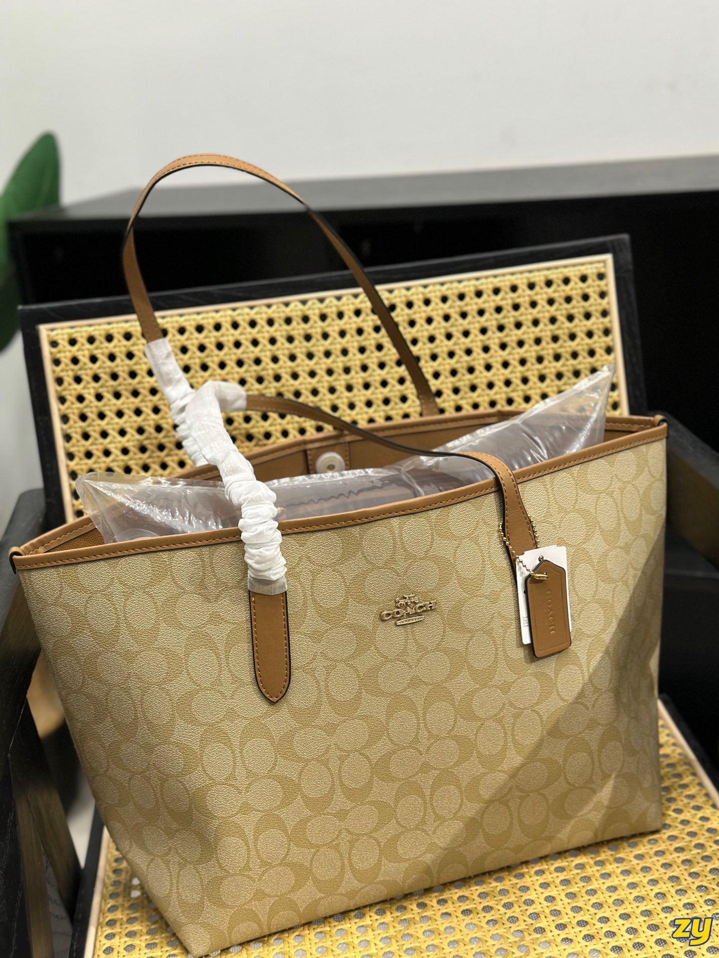 Co-BAG255