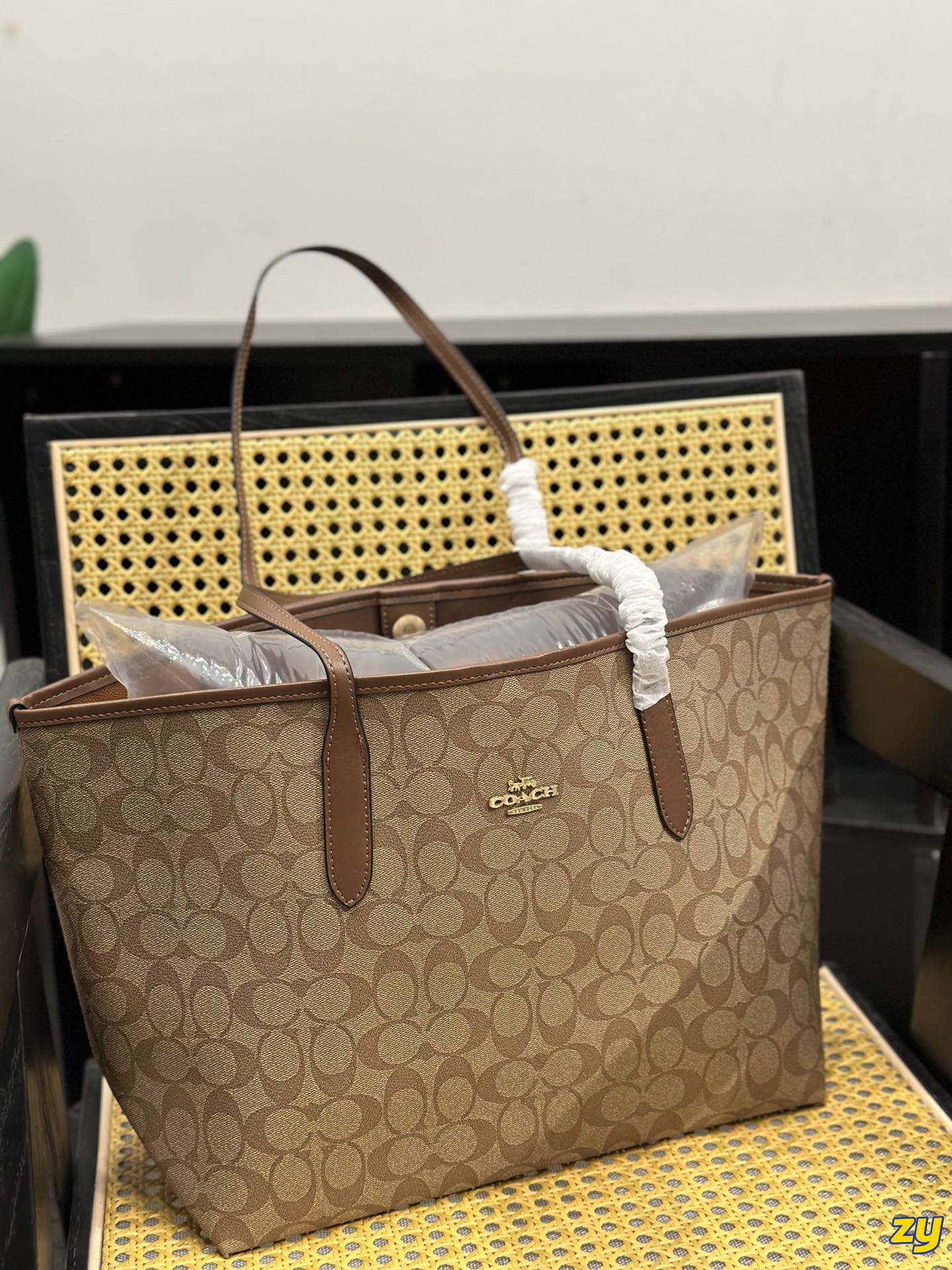 Co-BAG255