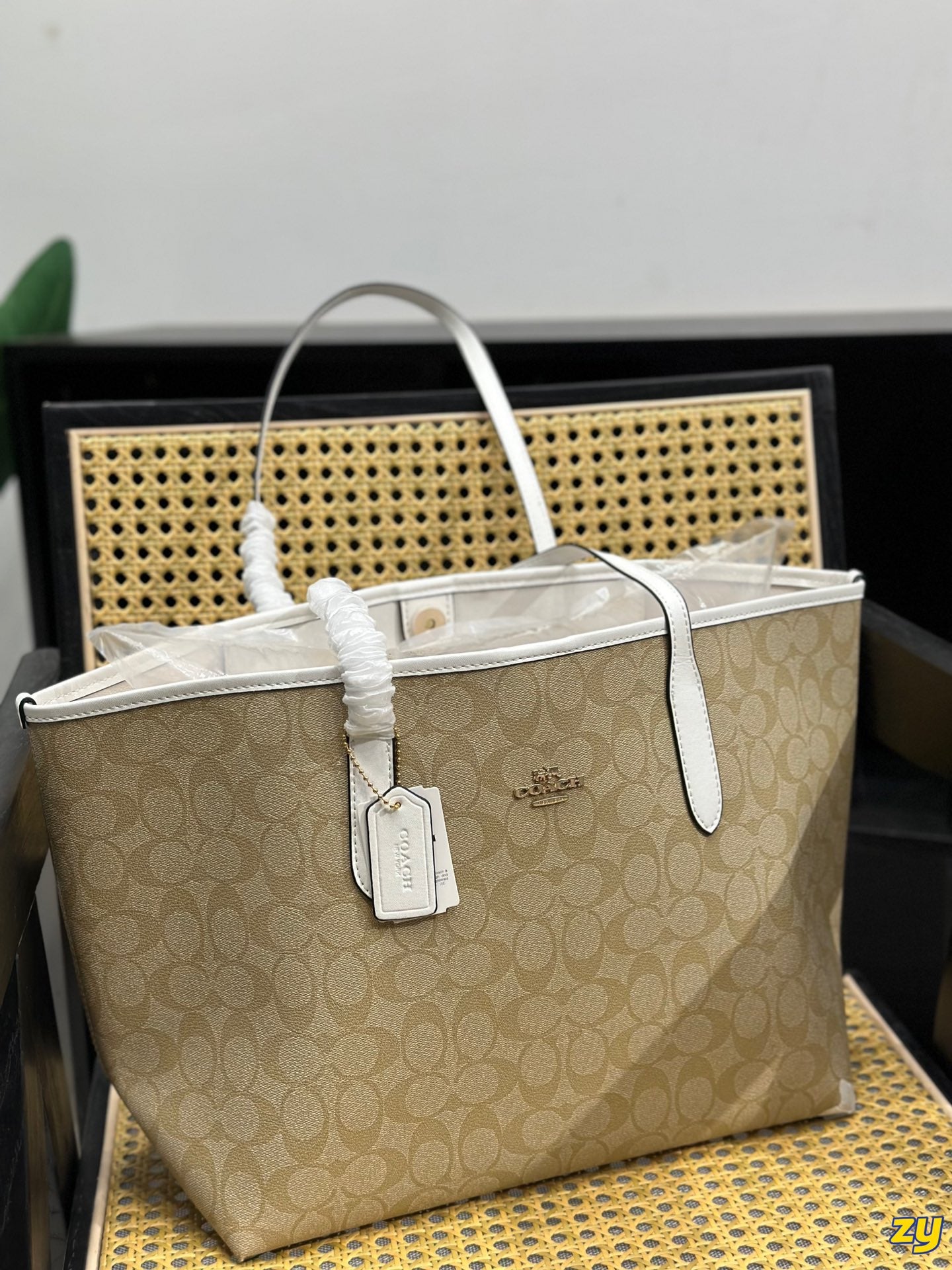 Co-BAG255