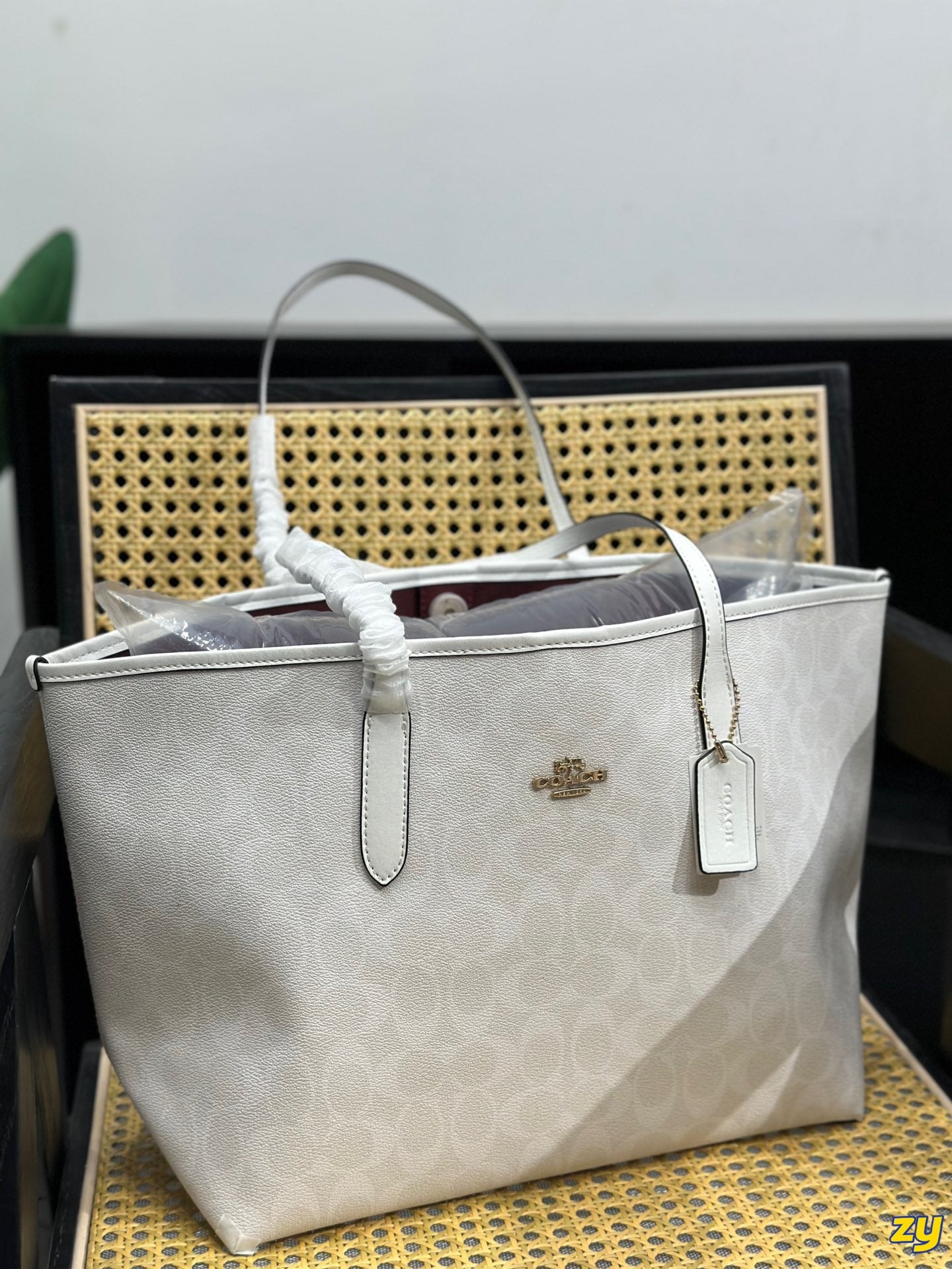 Co-BAG255