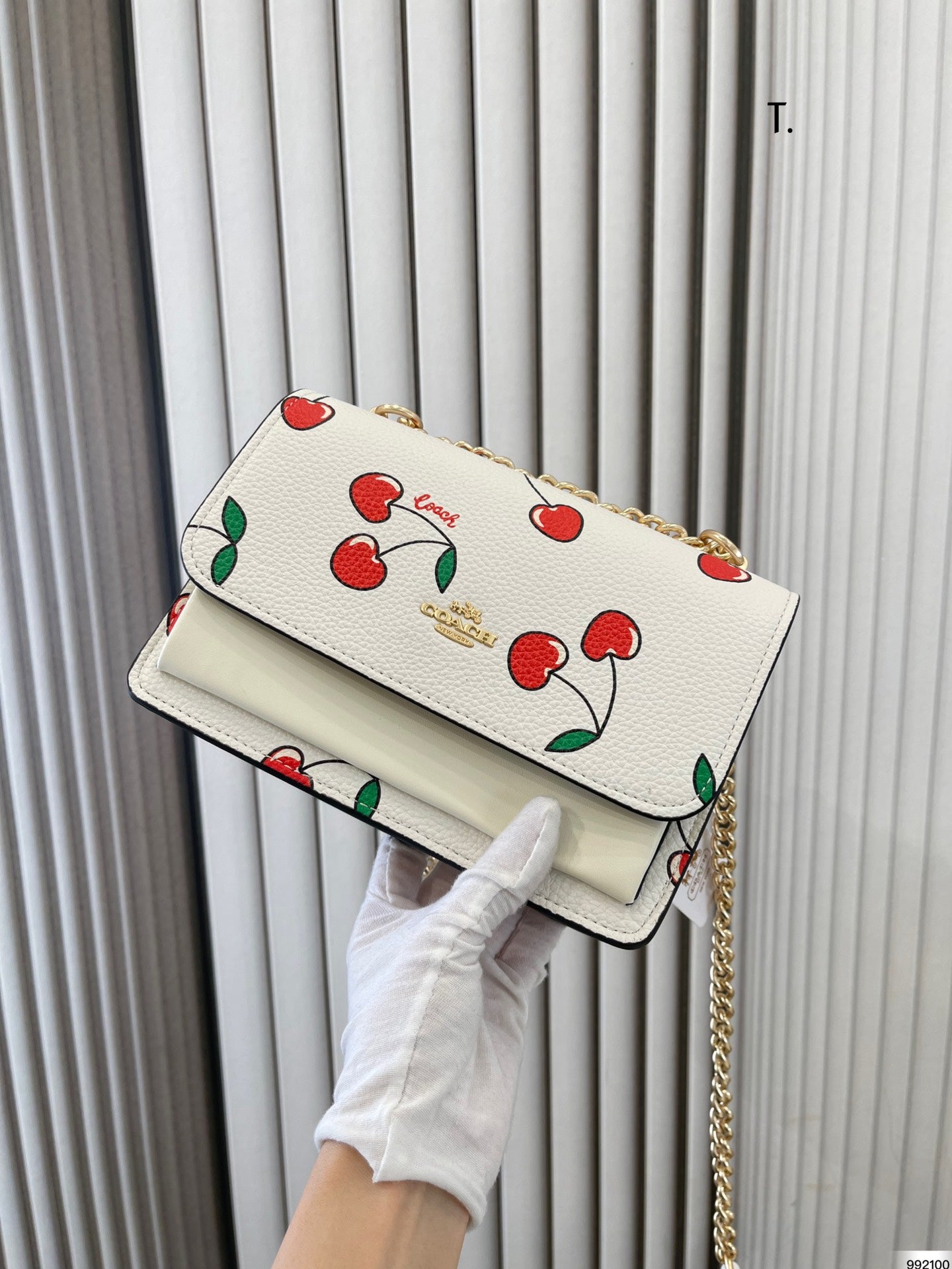 Co-BAG260
