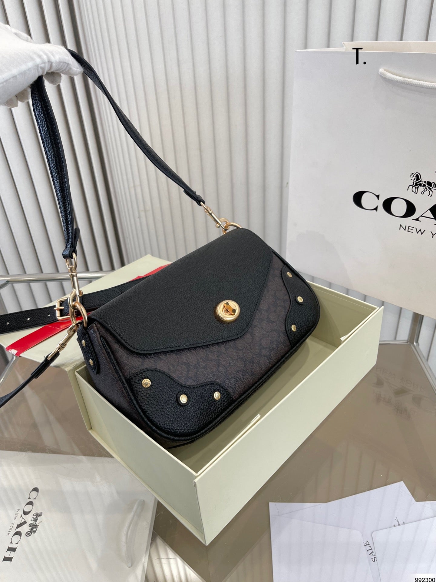 Co-BAG261
