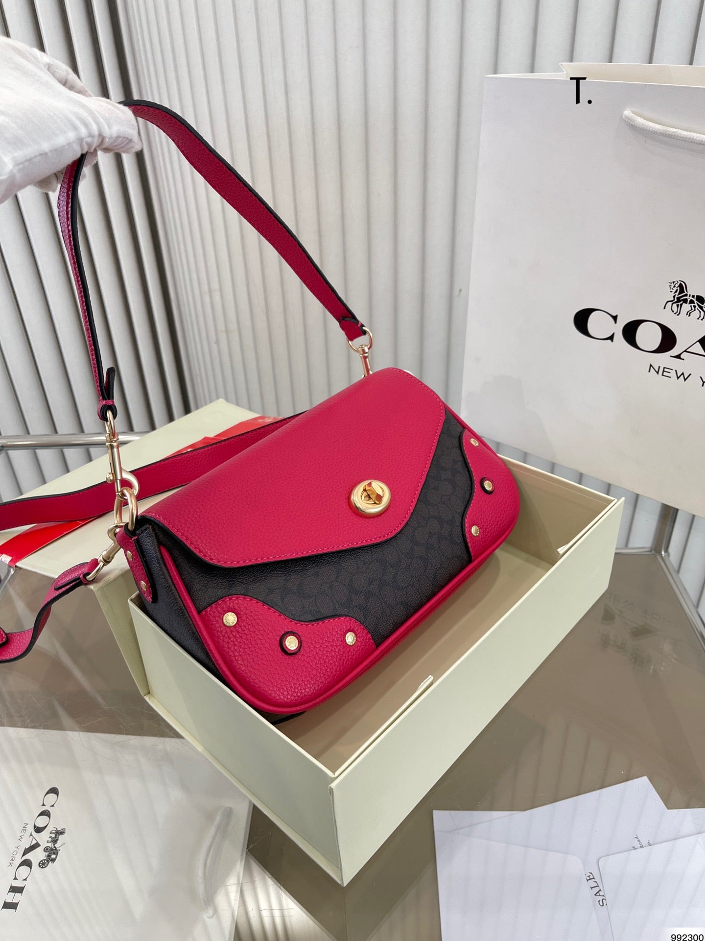 Co-BAG261