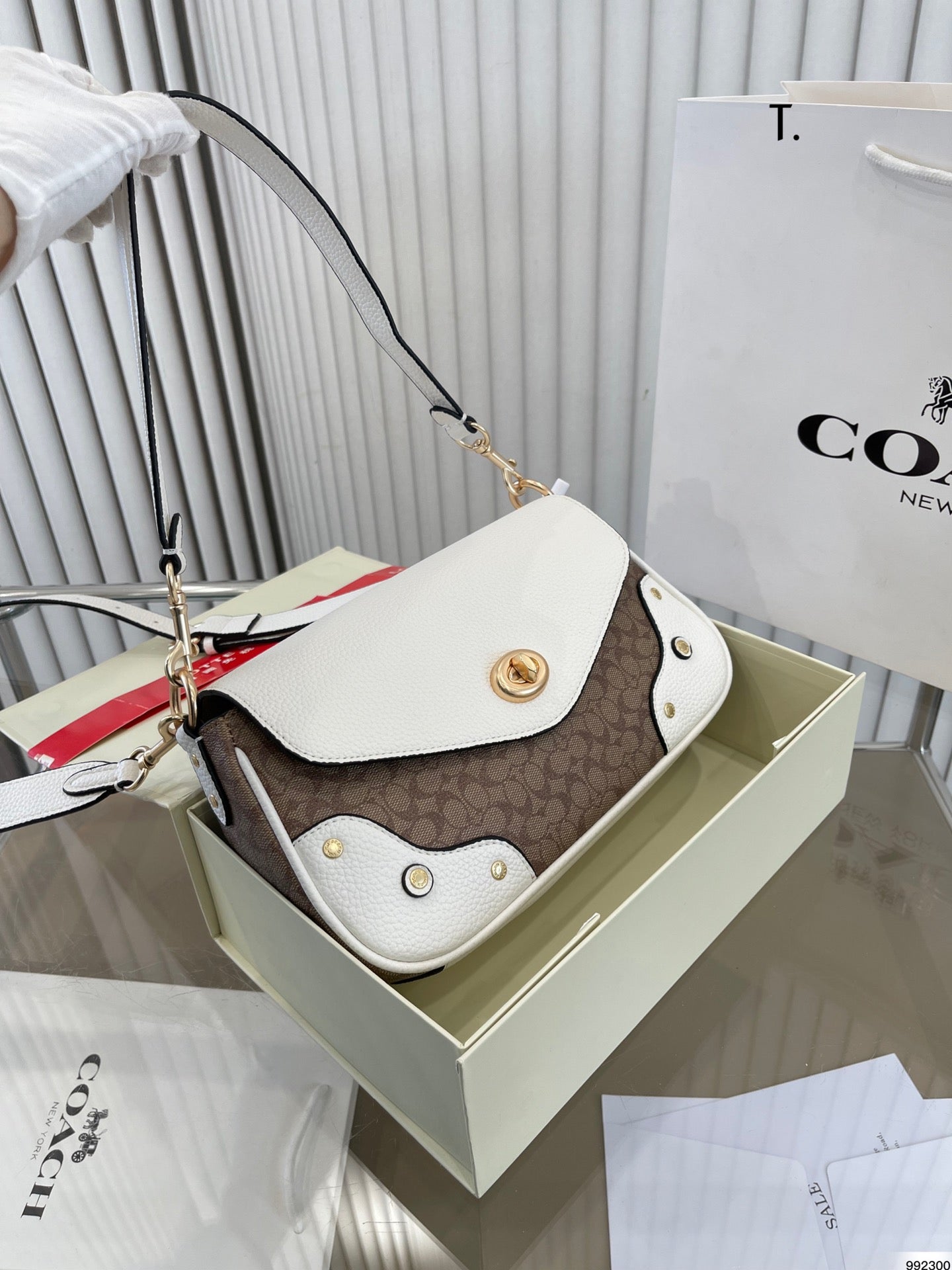 Co-BAG261