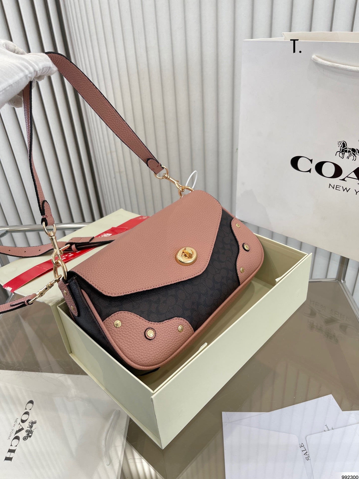 Co-BAG261