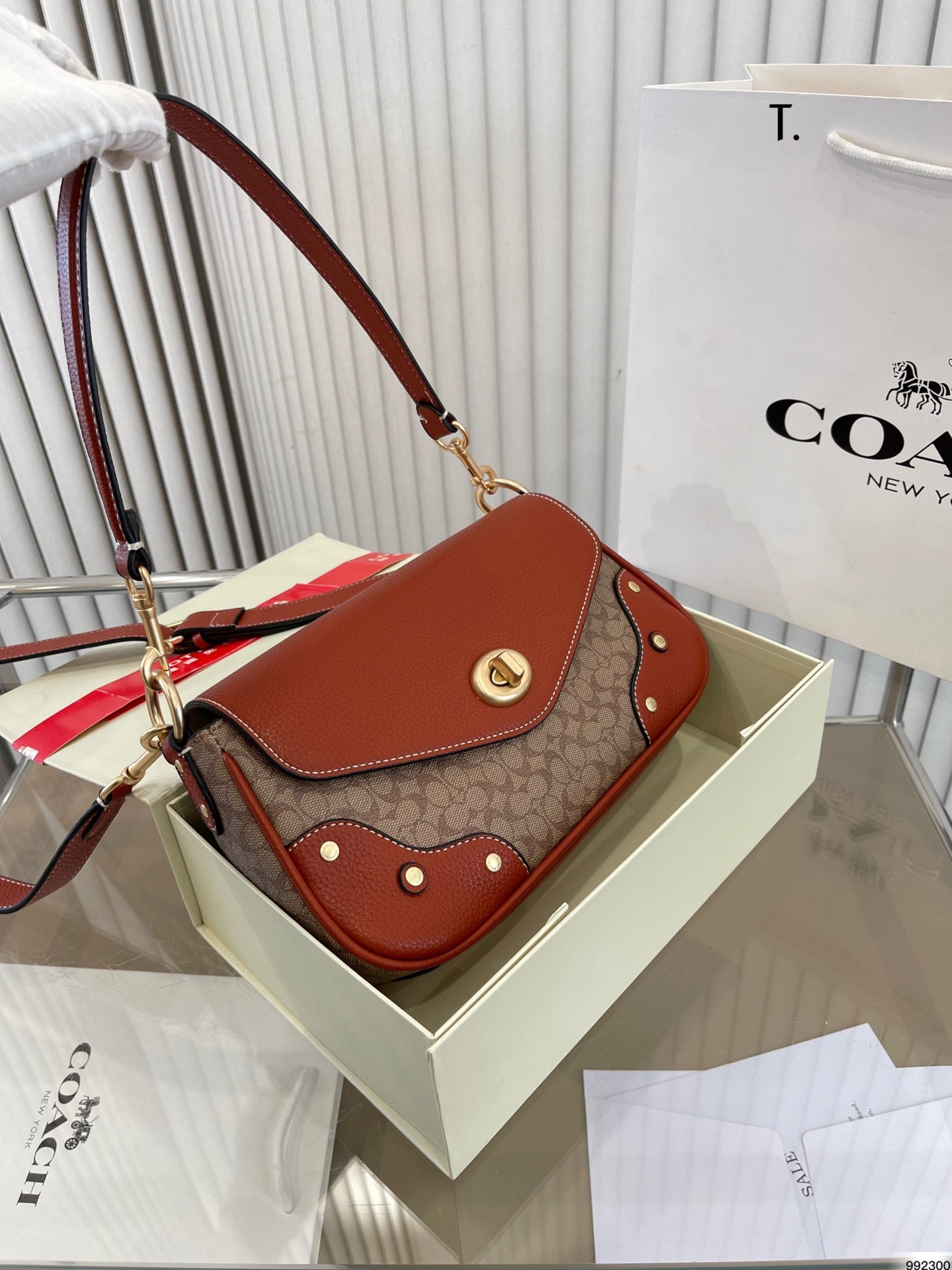 Co-BAG261
