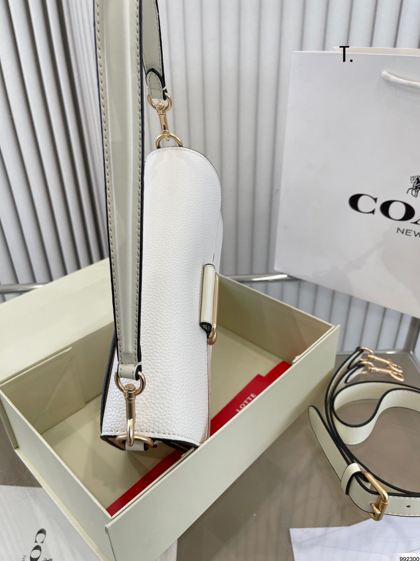 Co-BAG262