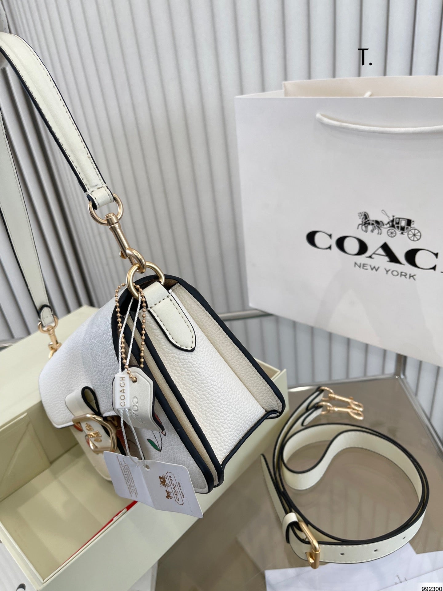 Co-BAG262