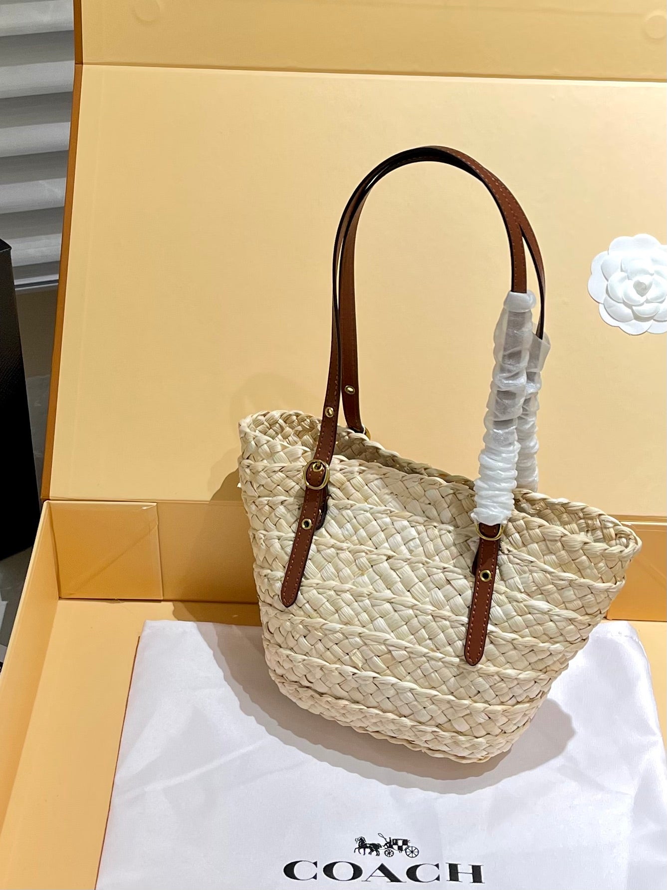 Co-BAG263