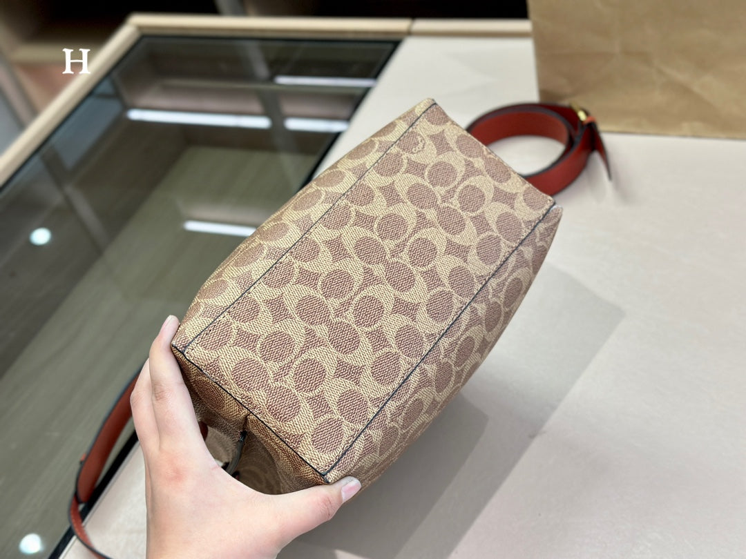 Co-BAG269