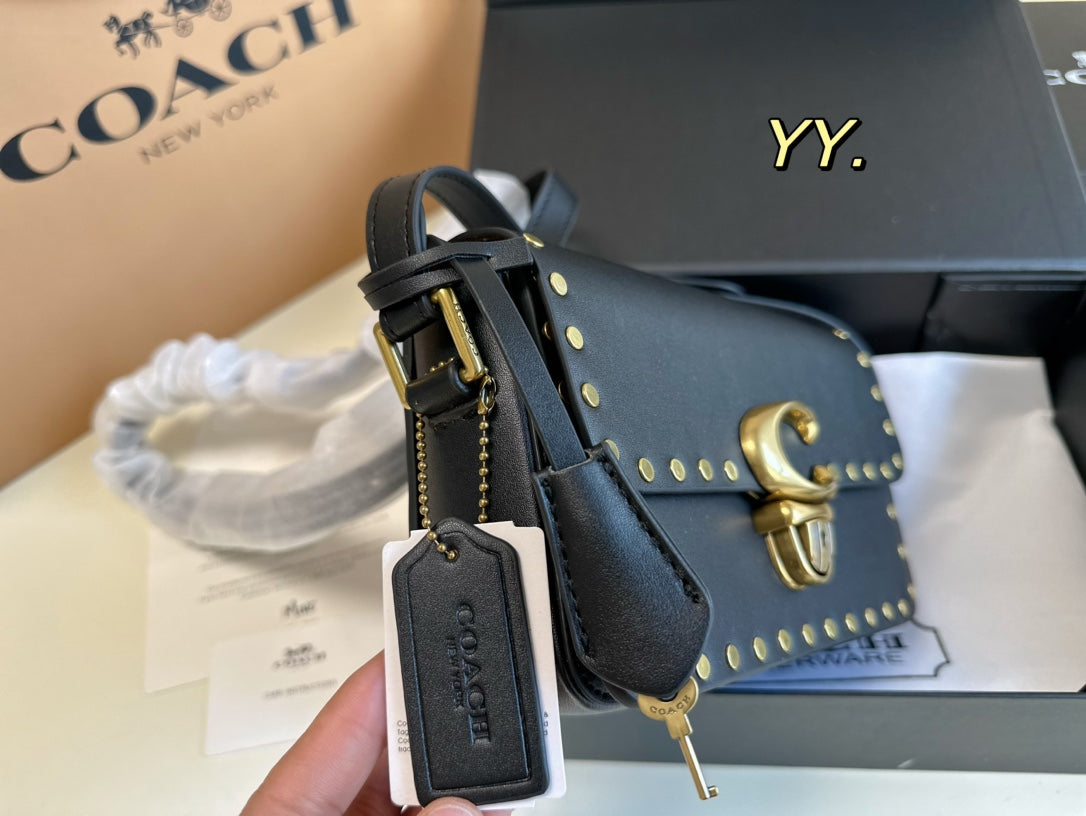 Co-BAG277
