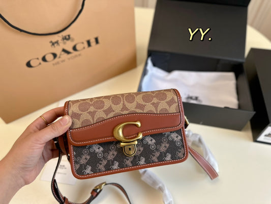 Co-BAG278