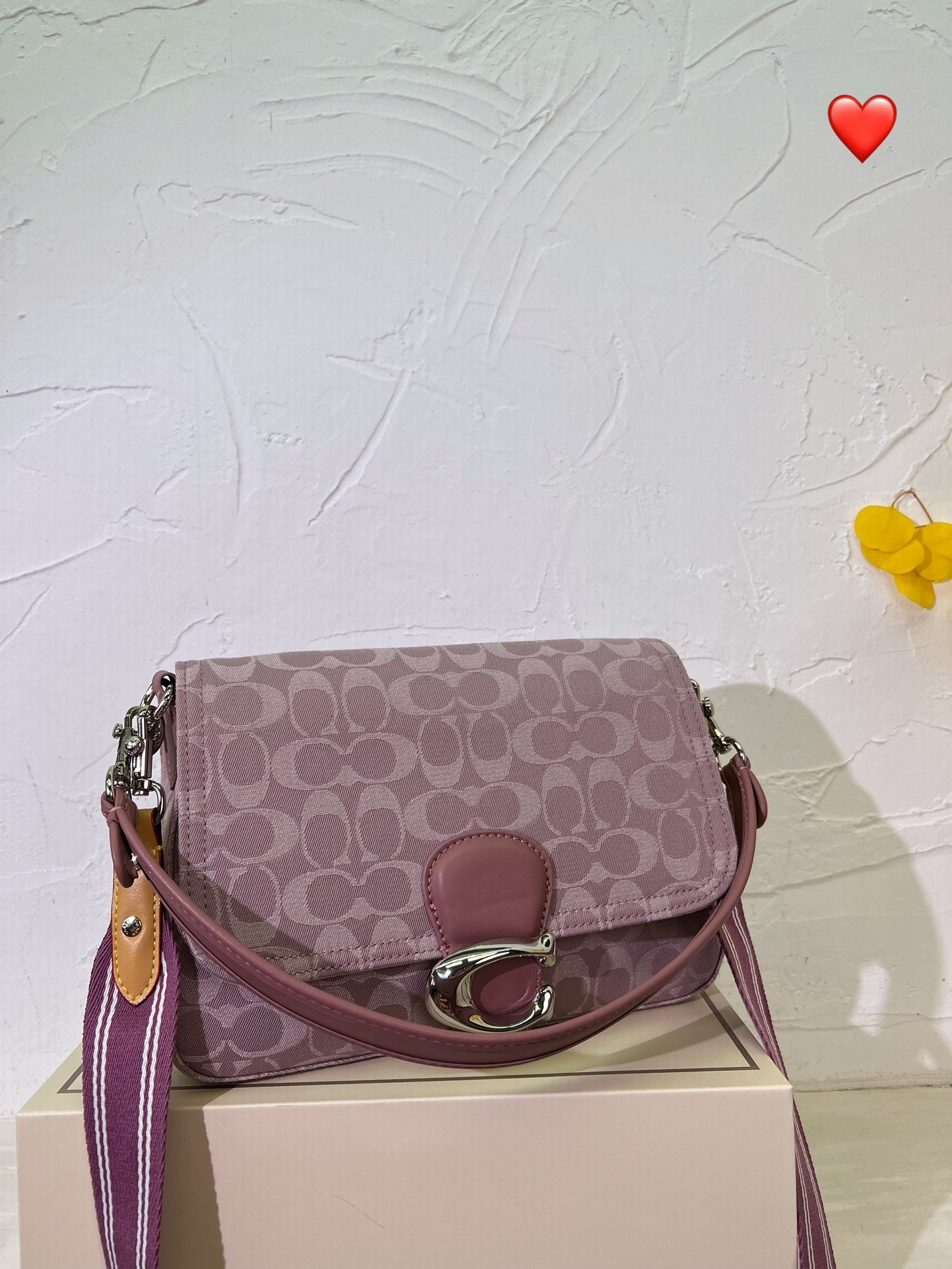 Co-BAG282