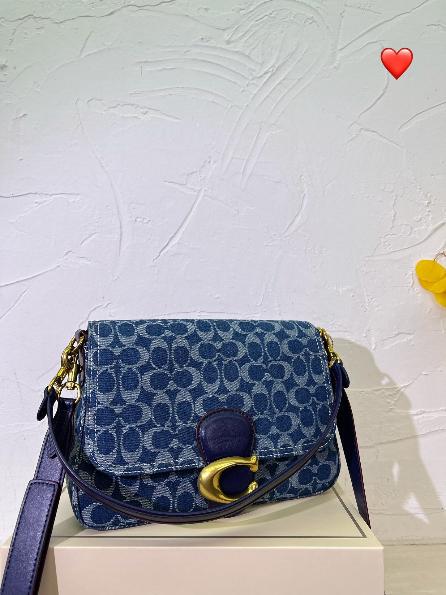 Co-BAG282