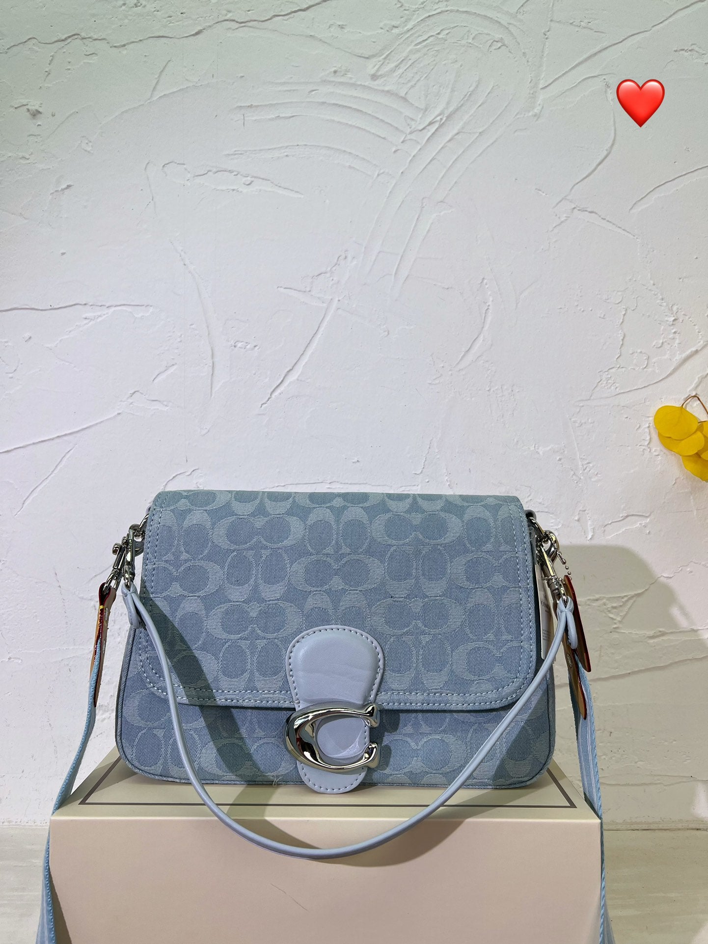 Co-BAG282