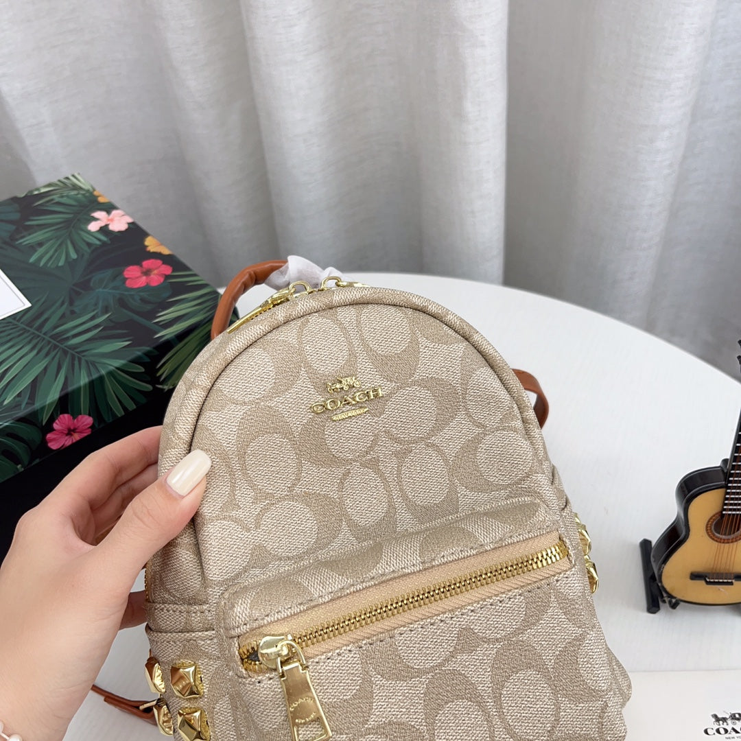 Co-BAG294