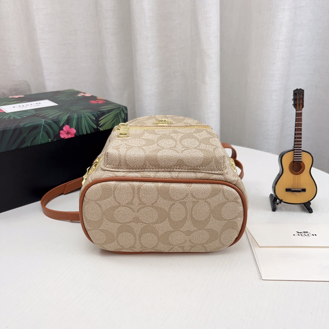 Co-BAG294