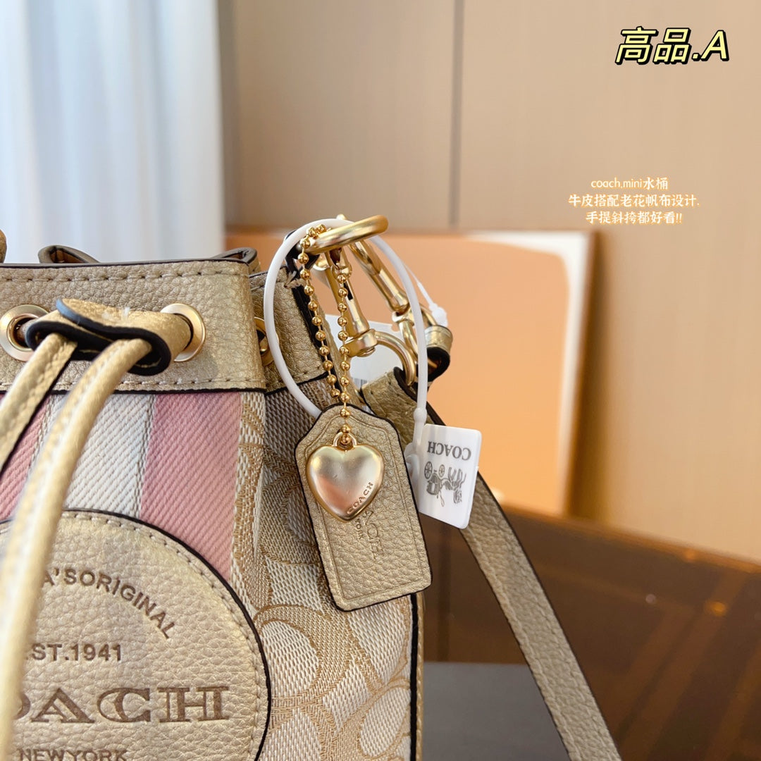 Co-BAG304