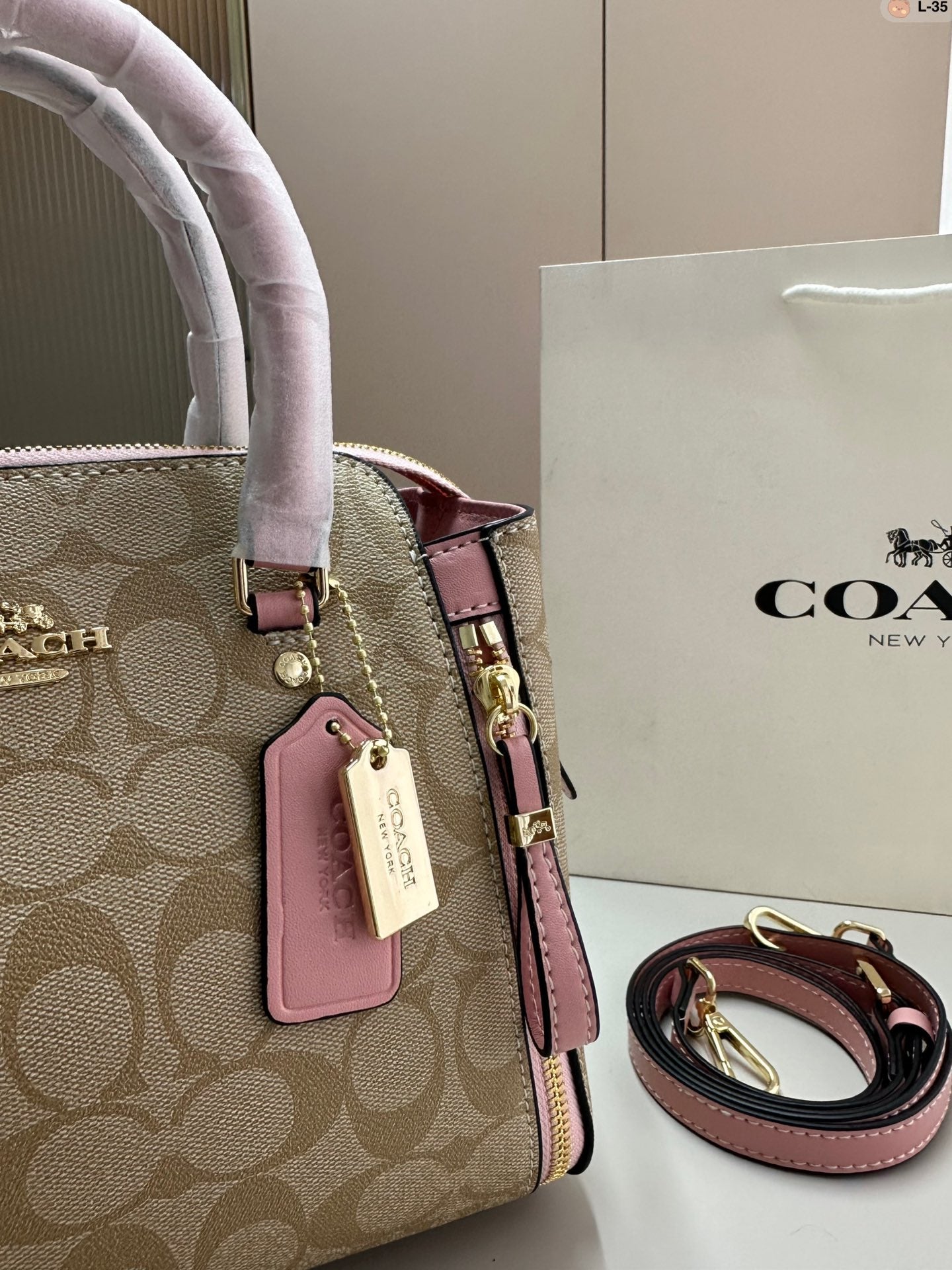 Co-BAG311
