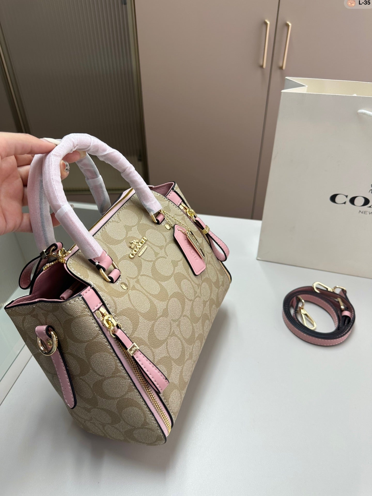 Co-BAG311