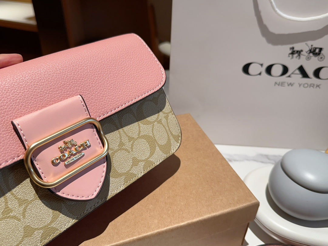 Co-BAG313