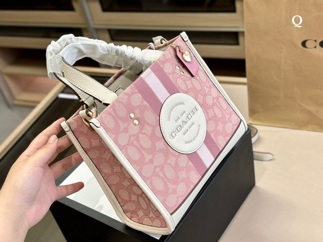 Co-BAG321