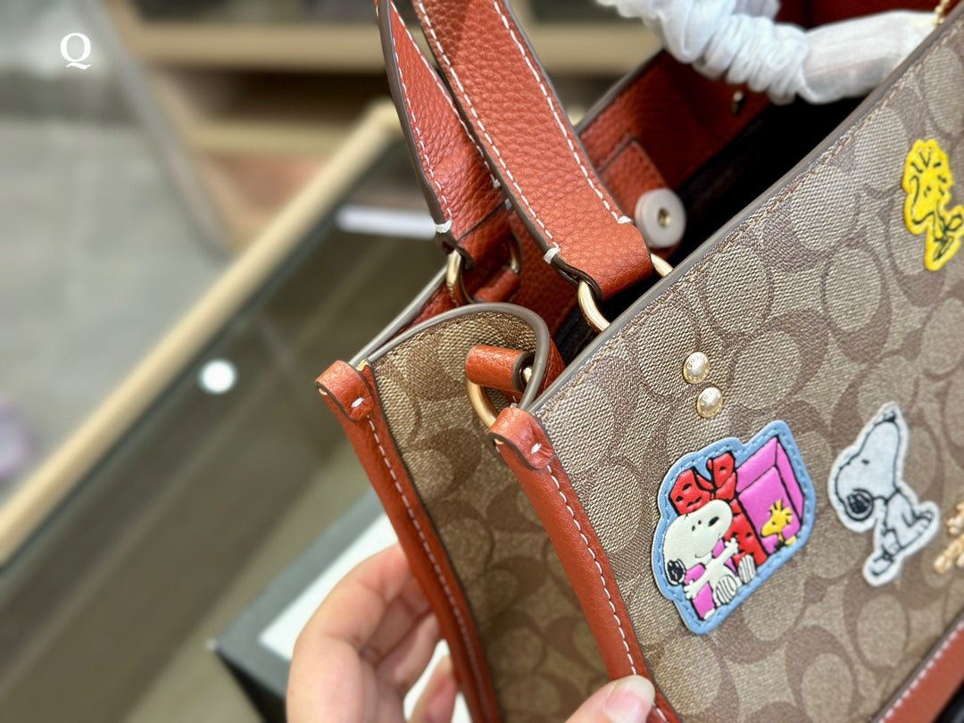Co-BAG322