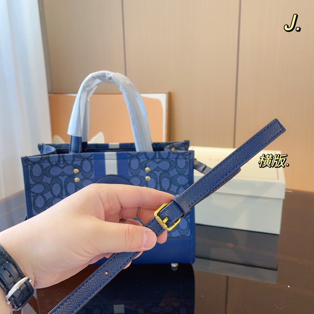 Co-BAG326
