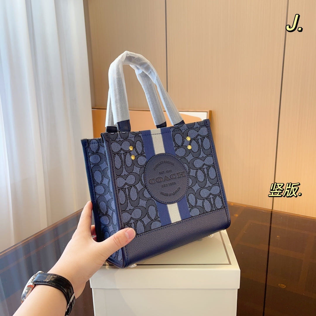 Co-BAG326-2