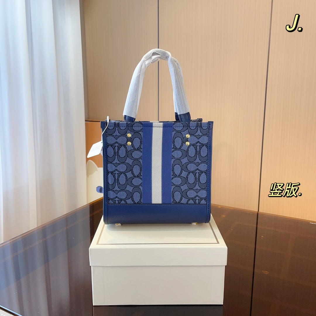 Co-BAG326-2