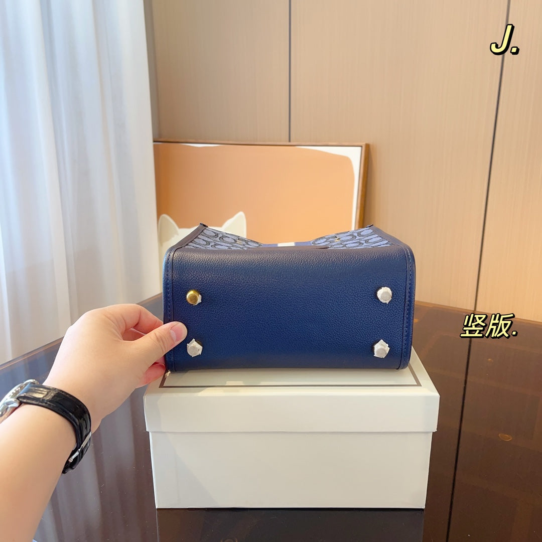 Co-BAG326-2