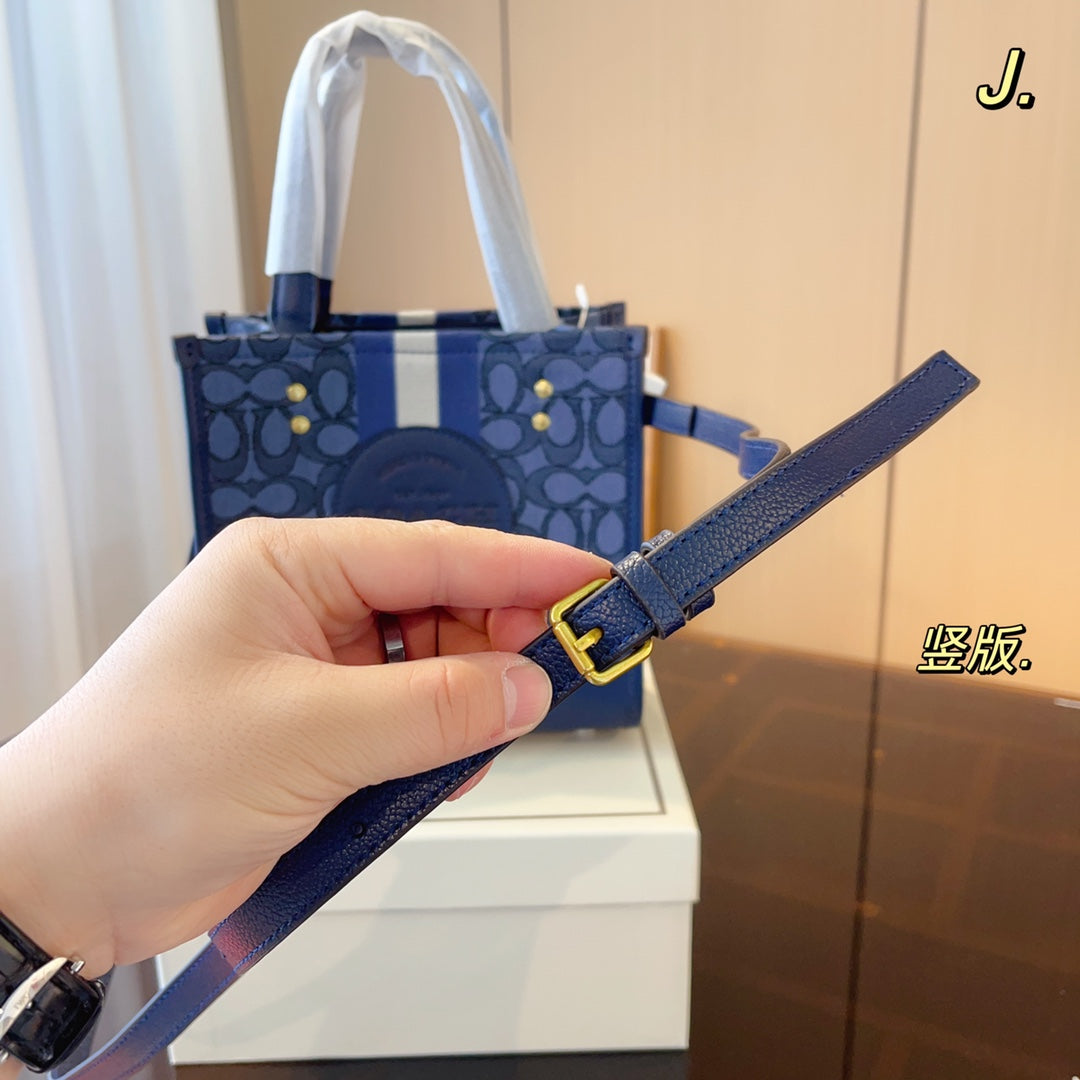 Co-BAG326-2