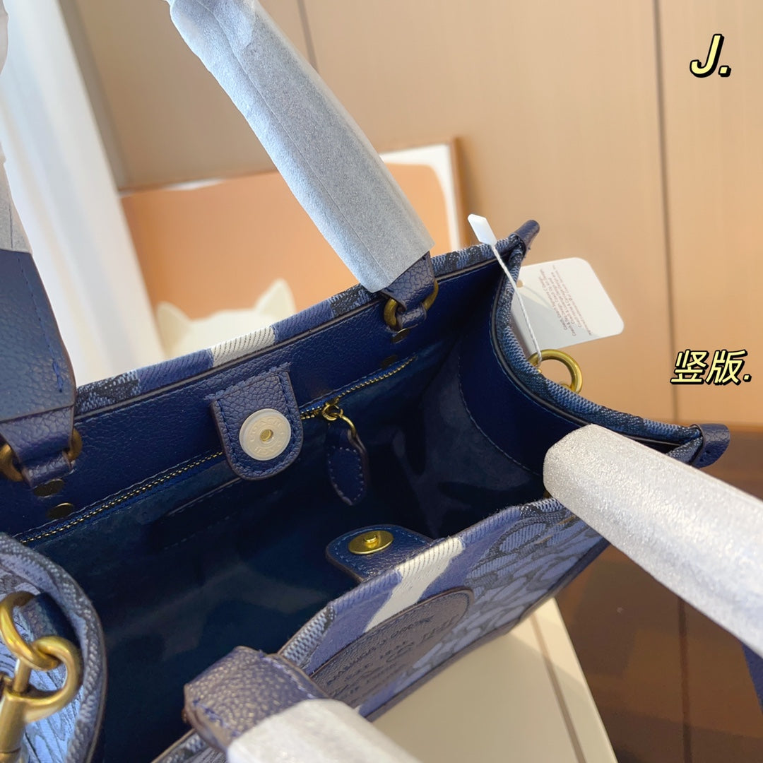 Co-BAG326-2