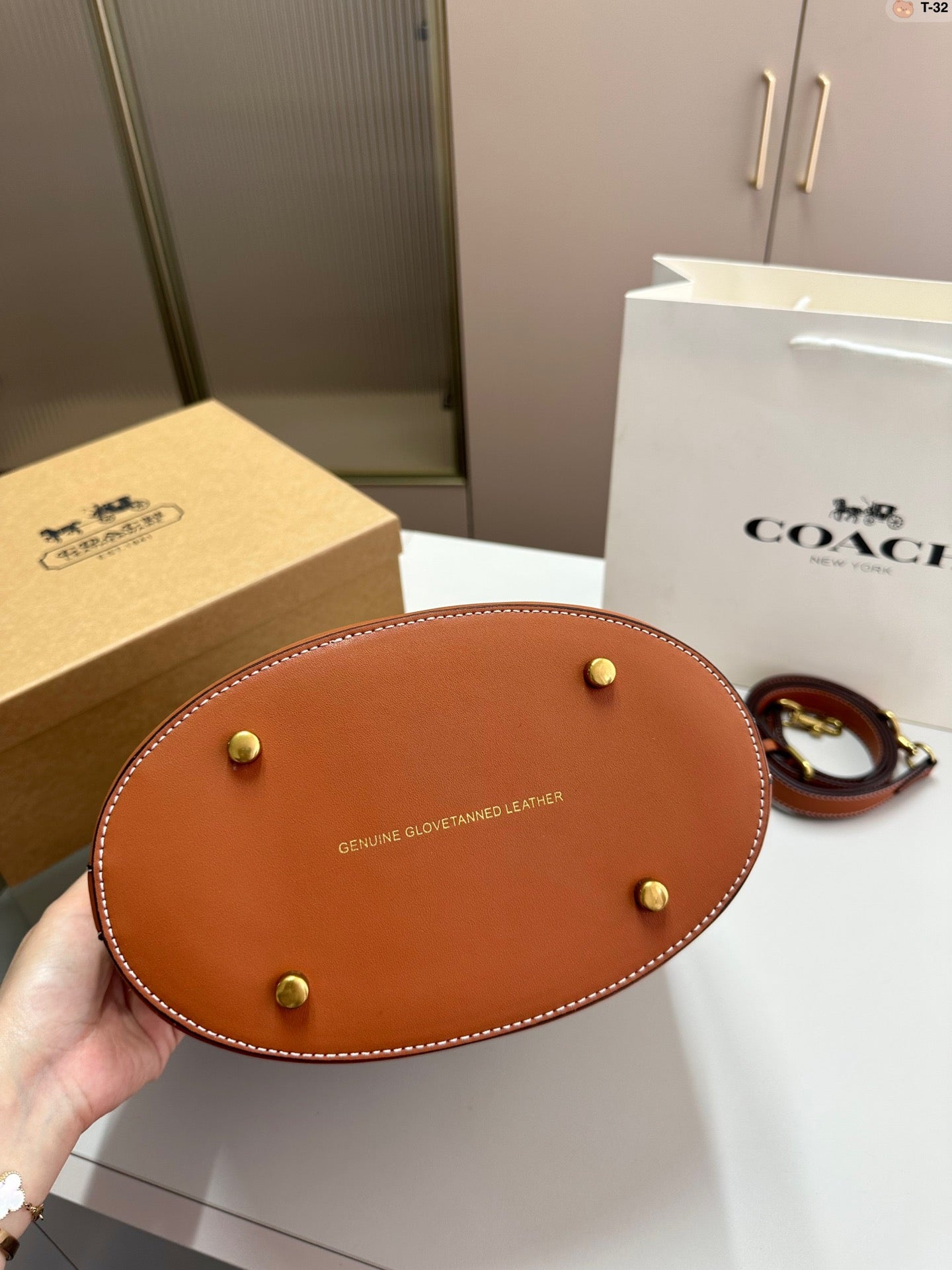 Co-BAG339