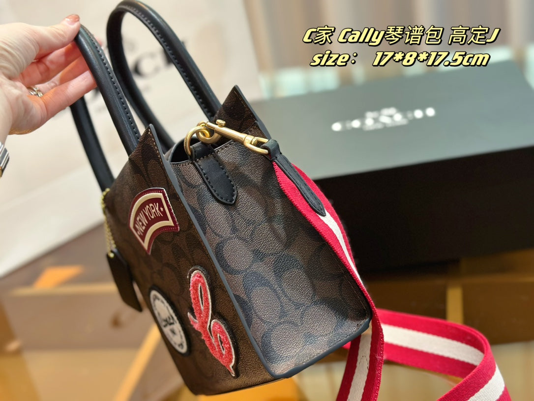 Co-BAG354