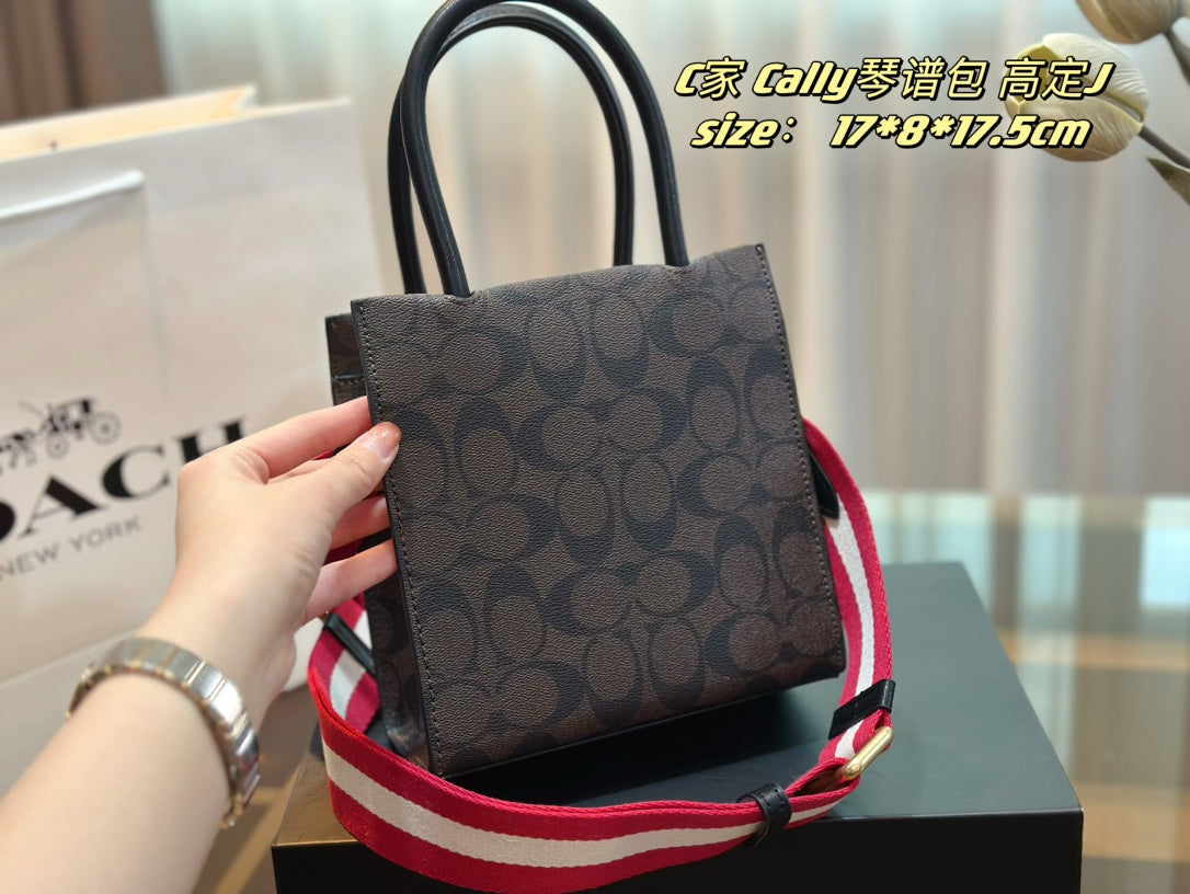 Co-BAG354