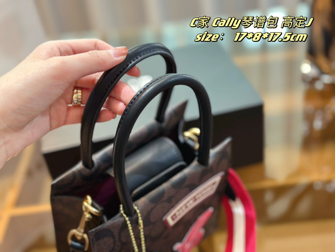 Co-BAG354
