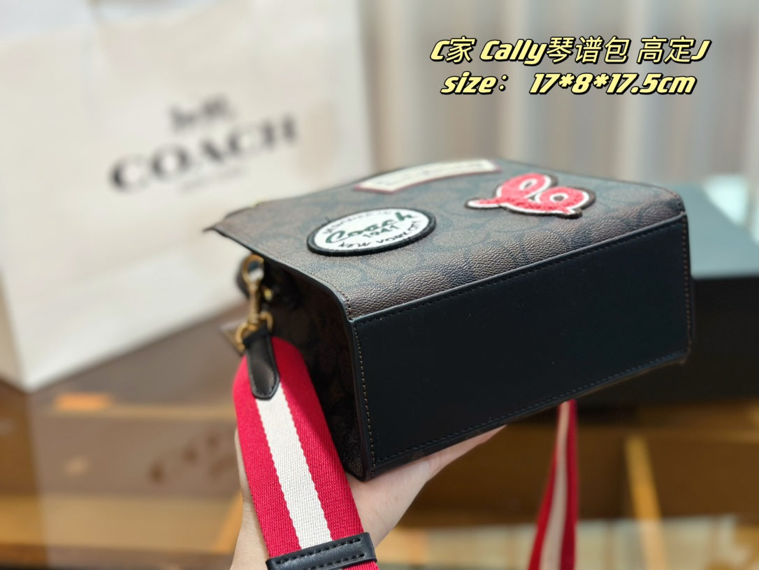 Co-BAG354