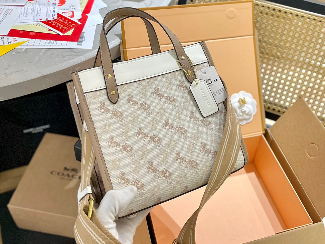 Co-BAG355