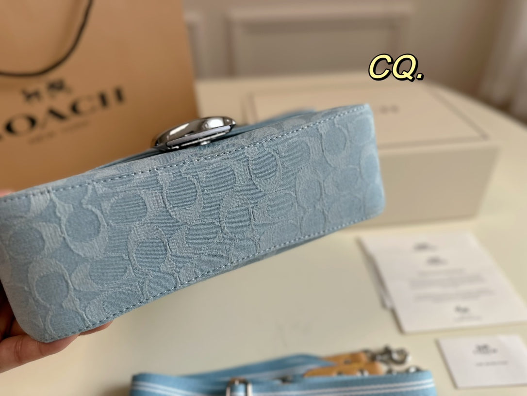 Co-BAG356