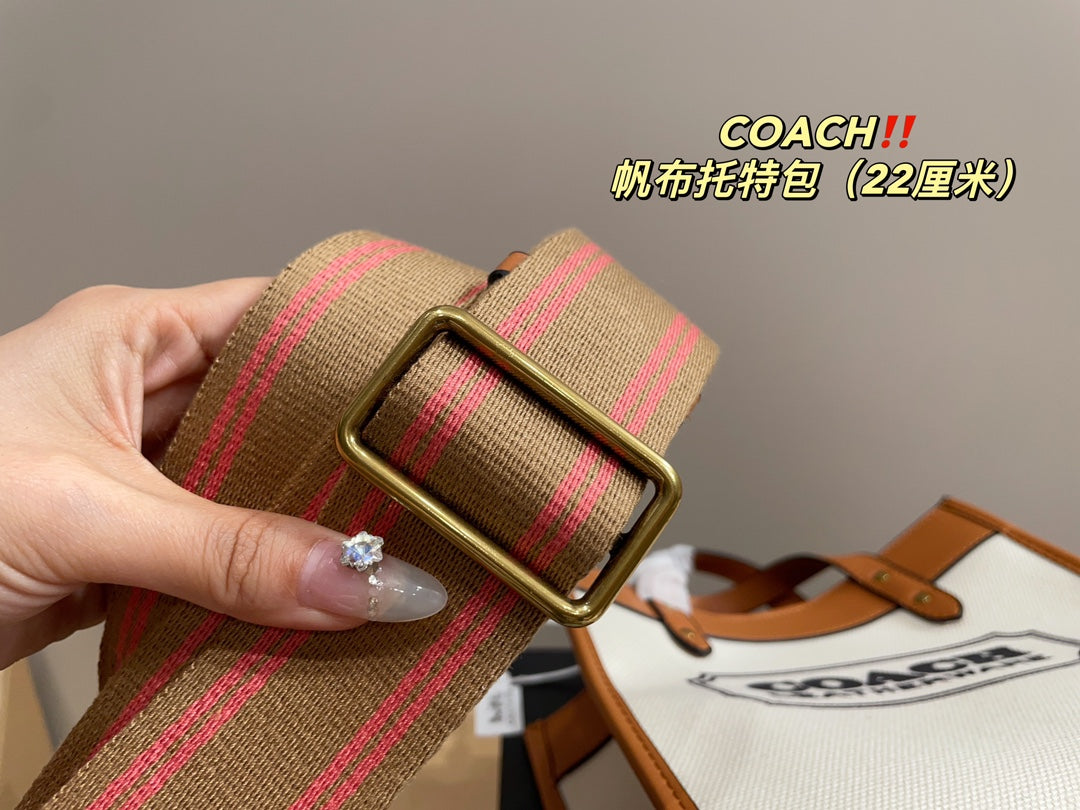 Co-BAG362