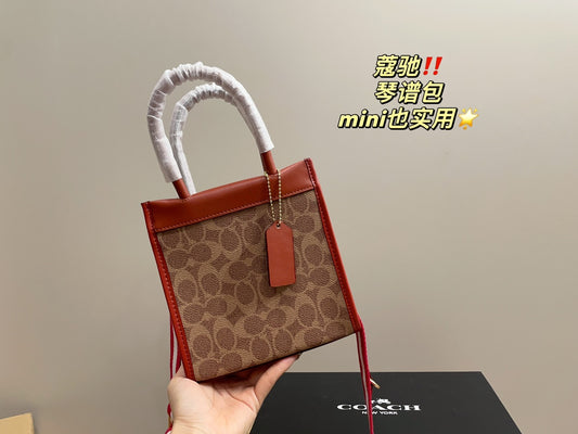 Co-BAG377