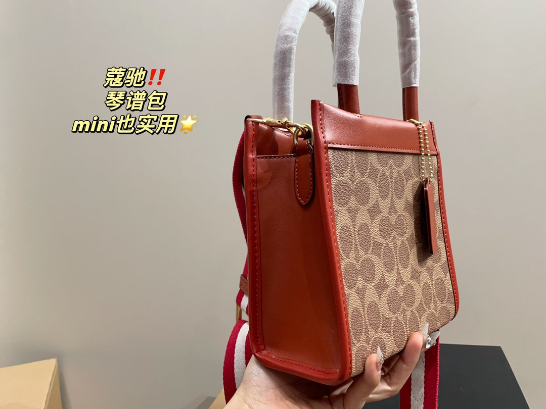 Co-BAG377