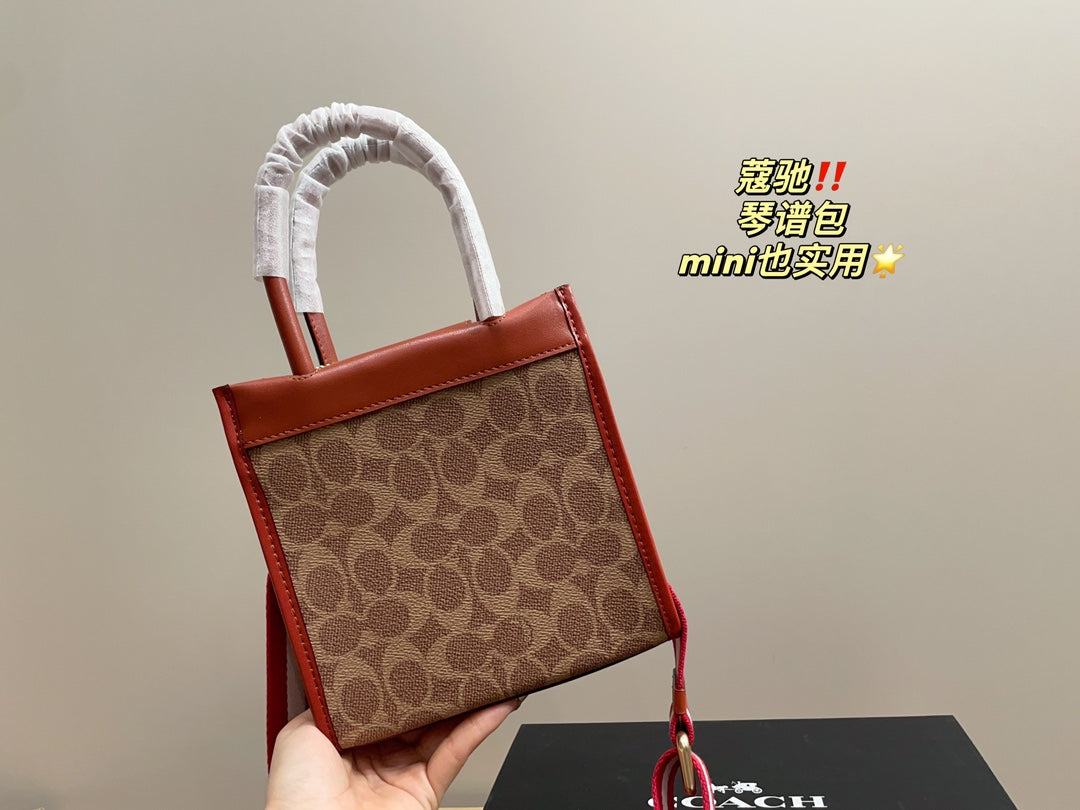 Co-BAG377