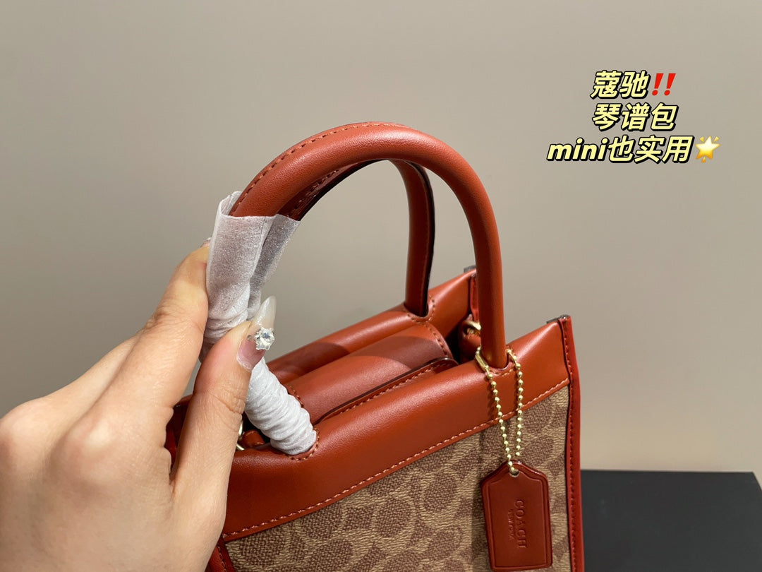 Co-BAG377