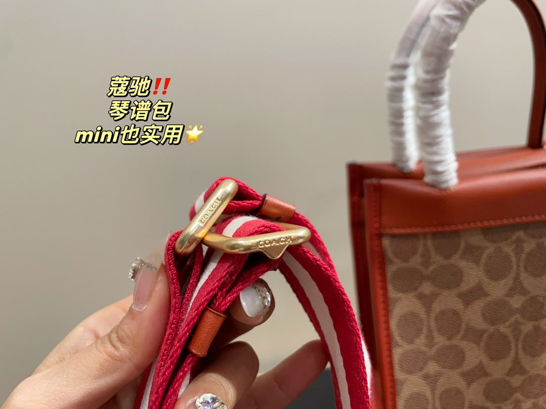 Co-BAG377