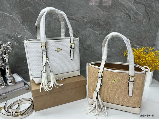 Co-BAG381