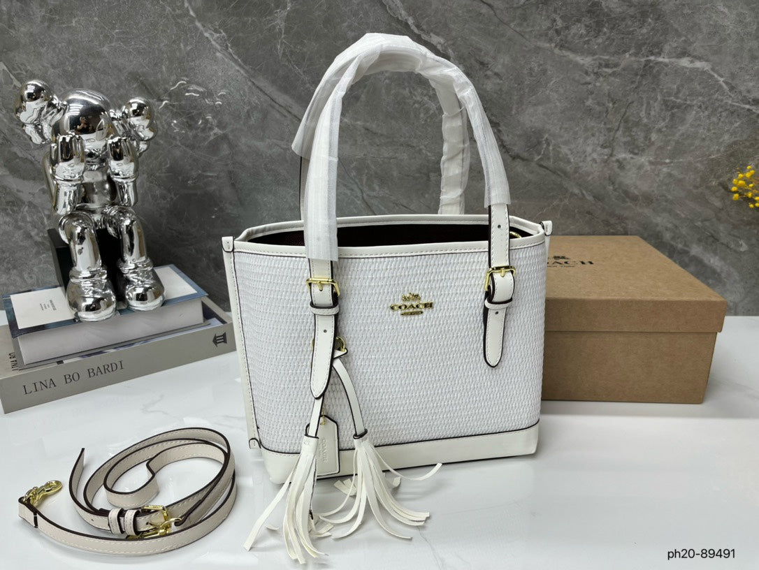 Co-BAG381